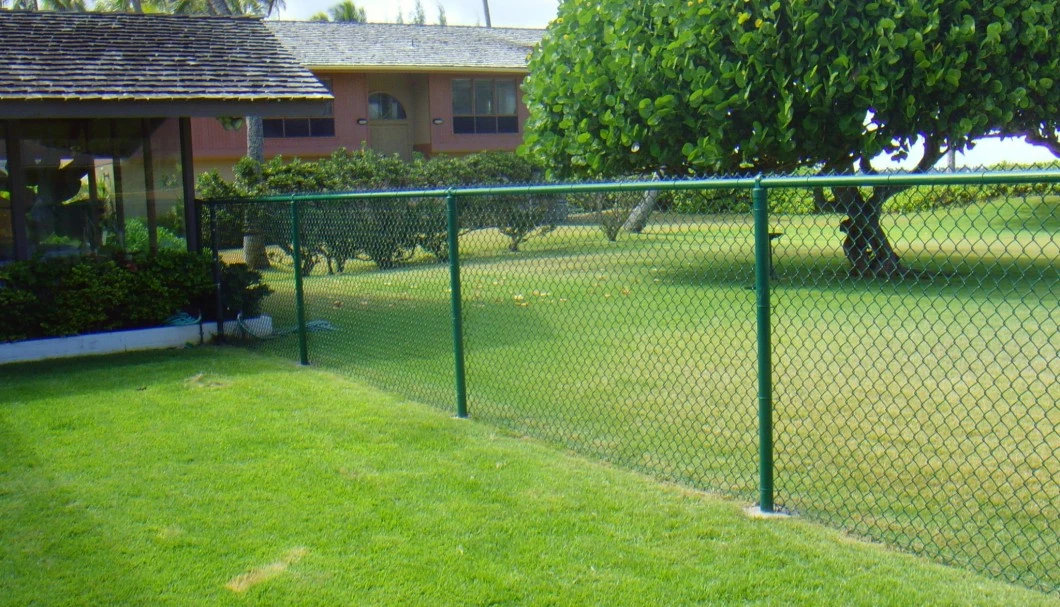 Heavey Duty Dark Green Chain Link Fence for Residential Use
