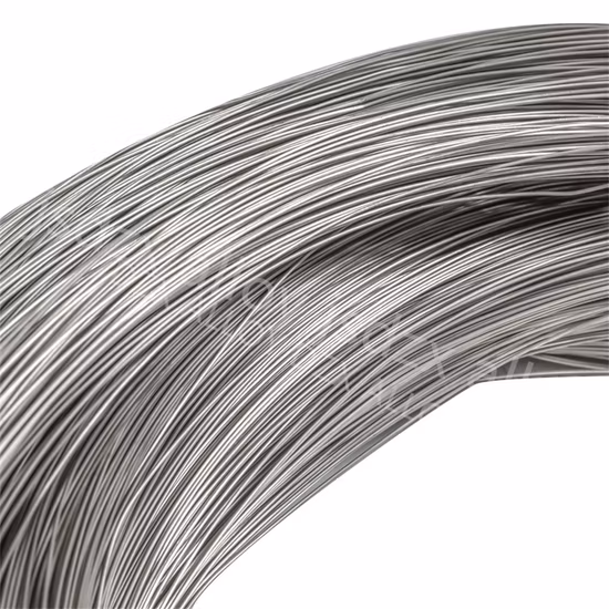 Stainless Steel Wire for Wire Mesh with Ce Certificate (0.3-3.0mm)