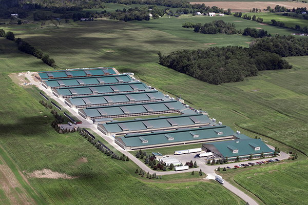 Zhaoqing Wrought Iron Gate Co.,Ltd