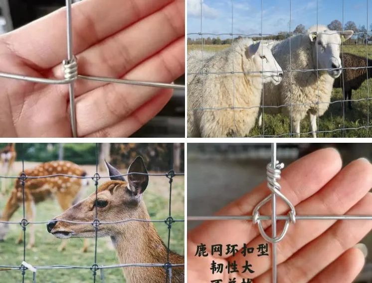 Hot Dipped Galvanized High Tensile Field Wire Goat Wire Mesh Farm Fence for Cattle Grassland
