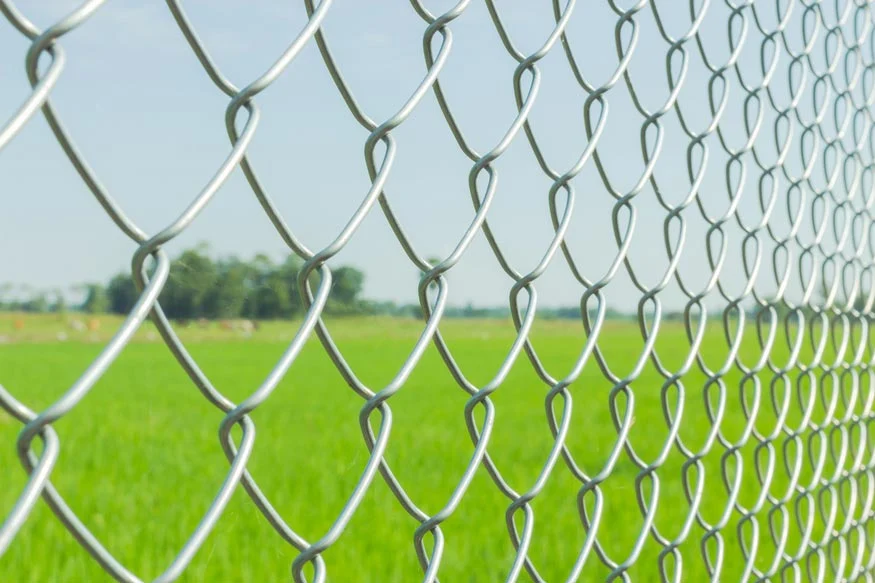 PVC Coated Diamond Shape Wire Mesh Steel Galvanize Chain Link Fence
