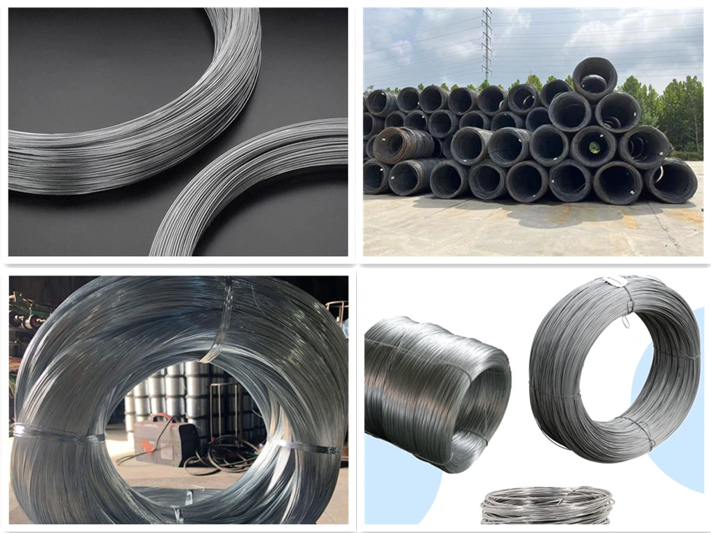 Ms Steel Wire Rod SAE 1008 /1006 0.3mm 6.5mm ASTM 14 Gauge Hot Dipped Galvanized Steel Wire for Manufuacturing Building Packaging
