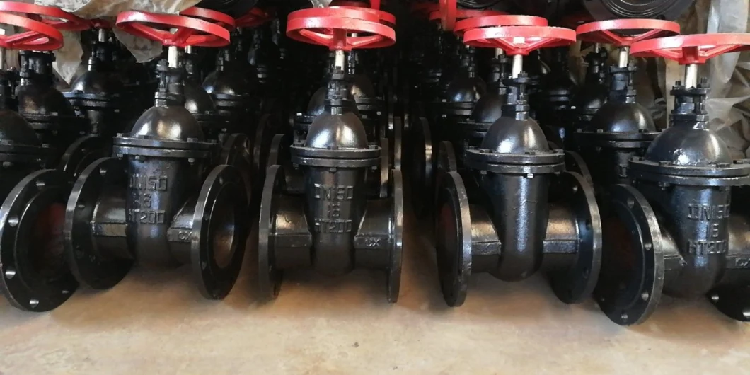 Ductile Iron, Cast Iron, Metal Seated, Industrial, Control Gate Valve