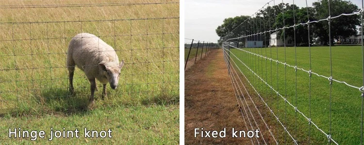 Sheep Goat Farm Wire Fence Fence Mesh Hot Sale Plastic Electric Galvanized or Hot Dipped Galvanized