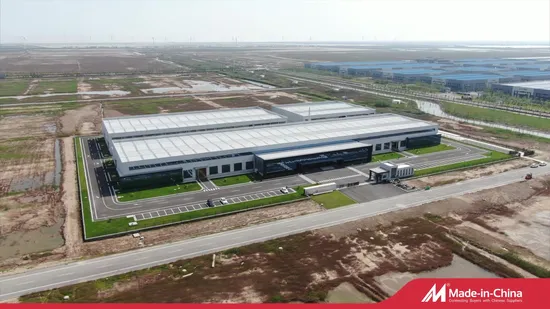 Size From 0.20mm to 10.00mm Galvanized Spring Steel Wire