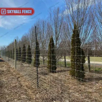 Pasture Fence Metal Field Fence Stock Proof Field Fence for Sale